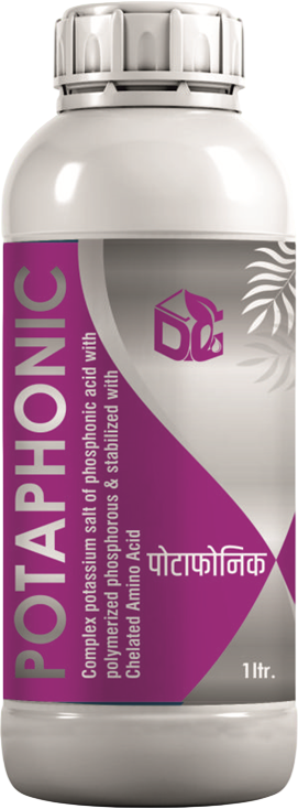 Potaphonic product packaging